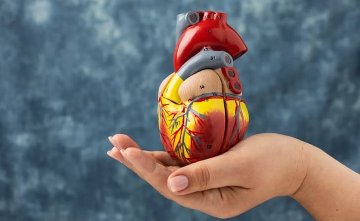 Encuentran microplásticos en corazón humano, preocupan efectos a largo plazo