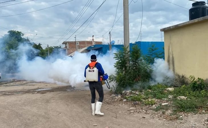 Registran primera muerte por dengue en Chiapas: preocupa aumento de casos en la entidad