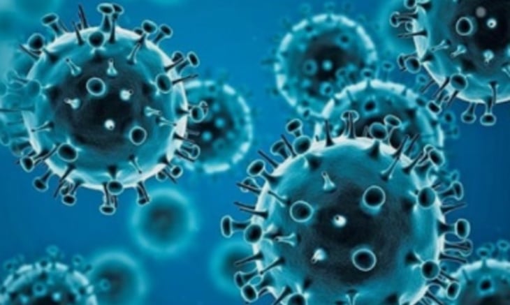 OMS y CDC vigilan la nueva variante BA.2.86 del virus