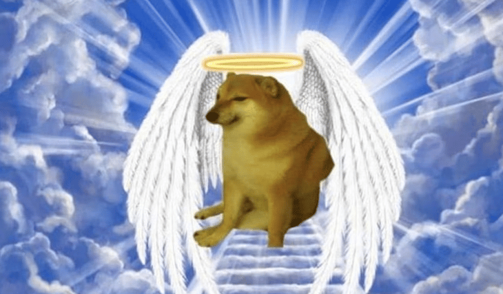 Despiden a Cheems, perrito viral, con los mejores memes de Internet