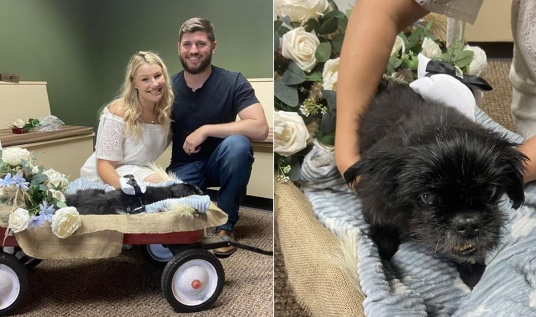 Pareja celebra boda en veterinaria para que su perrito enfermo los acompañara