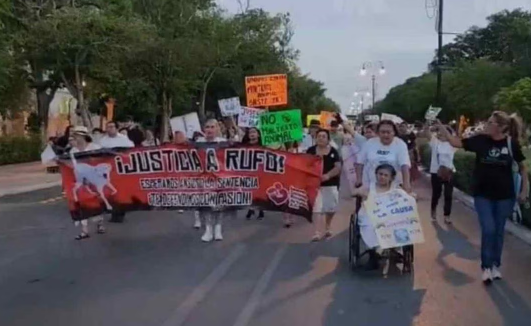 Piden justicia por “Rufino”, lomito decapitado en Yucatán