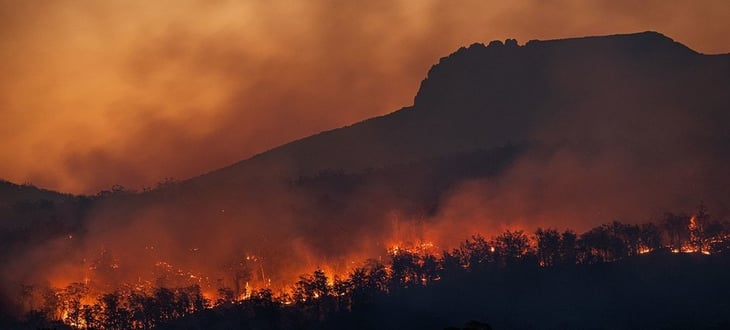 Cómo evitar que afecte la salud el humo de los incendios forestales