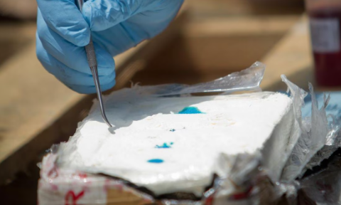 En España hallan 9.5 toneladas de cocaína en contenedor de plátanos procedente de Ecuador