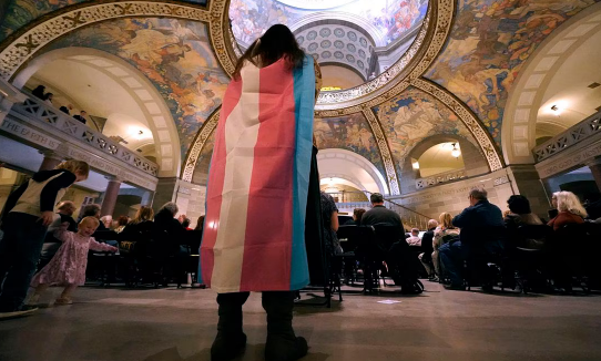 Fallos en Texas y Missouri confunden sobre dónde los jóvenes transgénero de EU pueden recibir tratamiento