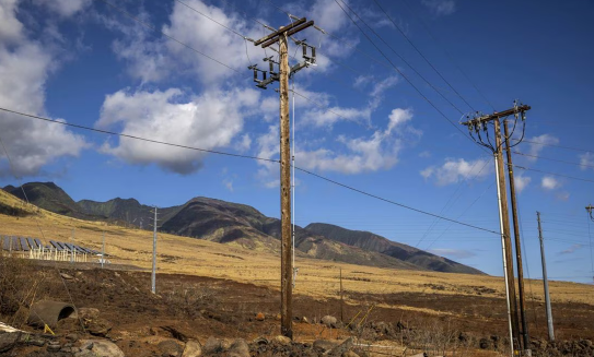 Hawái: Cables eléctricos desnudos y postes inclinados en Maui, posibles causas de los incendios