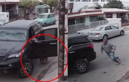 Perro choca una camioneta contra la pared de una casa y se hace viral