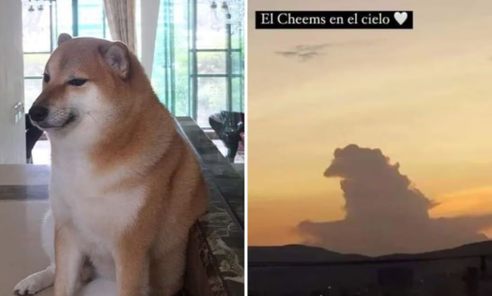 ¿Cheems aparece en el cielo? Se viraliza peculiar nube con la forma del perrito