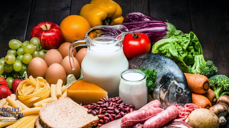 Alimentos de origen animal vs. vegetales: ¿Cuáles son los más saludables?