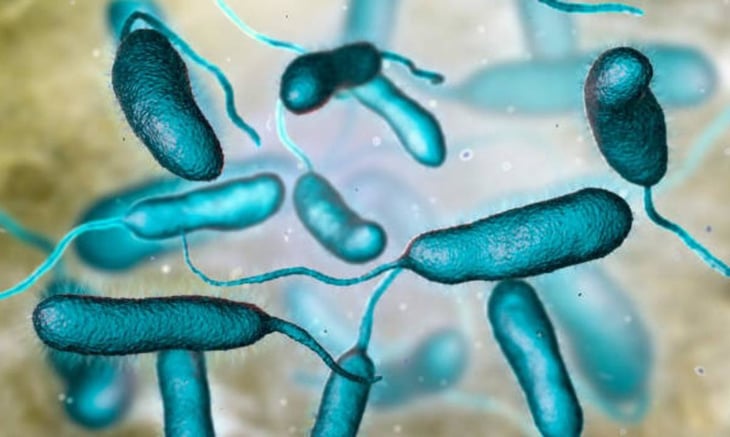 Esto sabemos de la bacteria ‘devoradora de carne’ y por qué es tan letal para el ser humano