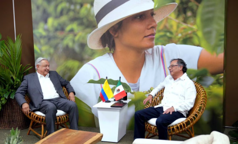 Nueva política de drogas de Colombia disminuirá producción de coca en 40%, dice ministro