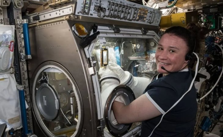Imprimen por primera vez cartílago de rodilla humana en Estación Espacial Internacional