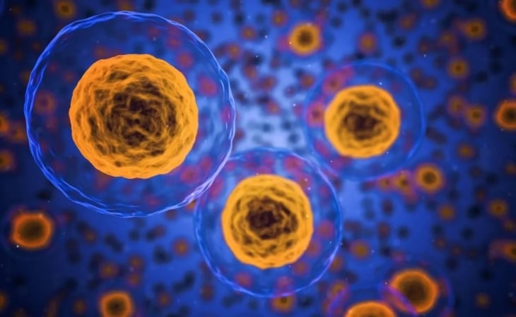 Microplásticos afectan al funcionamiento de las membranas celulares