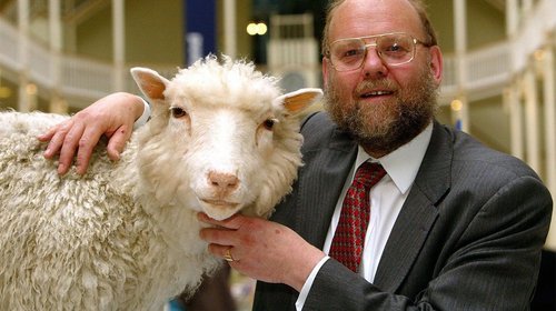 Muere Ivan Wilmut, científico que clonó a la oveja Dolly