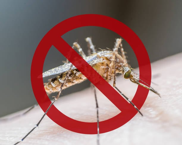 Ecología de Acuña está pidiendo la colaboración de la población para eliminar el dengue