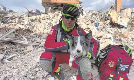 A 22 años del 11-S, recuerdan a perros rescatistas: 'se deprimían al hallar sólo cadáveres'