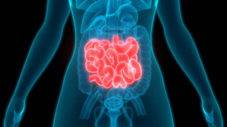 Afecciones gastrointestinales pueden predecir enfermedad de Parkinson