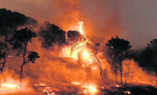 Narcos incineran un cadáver y desatan incendio en una reserva ambiental en Brasil