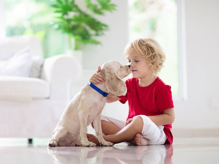 Niños se enferman de la piel por convivir con mascotas en el hogar como perros y gatos 