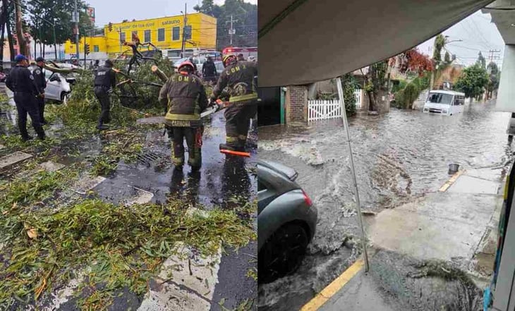 Reportan inundaciones y caída de árboles tras intensas lluvias en la CDMX