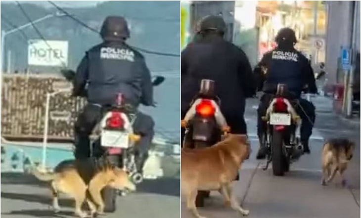 VIDEO: Policía arrastra a perrito en su moto en Jalacingo, Veracruz