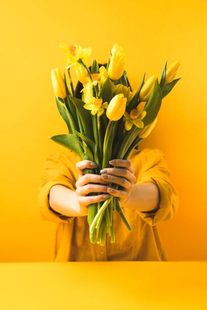 ¿Por qué se regalan flores amarillas cada 21 de septiembre?