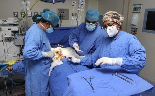 Monclovenses tienen cero interés en ser donadores de órganos 
