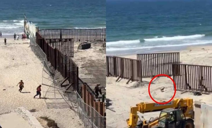 ¡Hasta el perro cruzó! Migrantes aprovechan reparación de muro y pasan corriendo a EU
