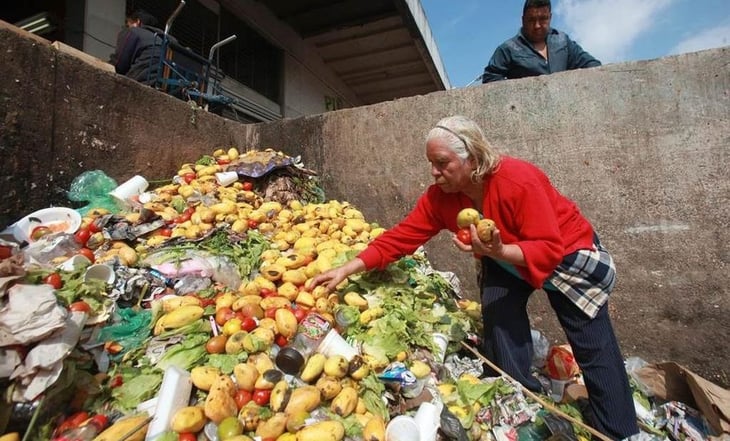 Papa Francisco pide acabar con el 'alarmante' y 'funesto' desperdicio de alimentos