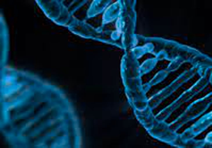 Una nueva edición genética CRISPR cura la anemia falciforme