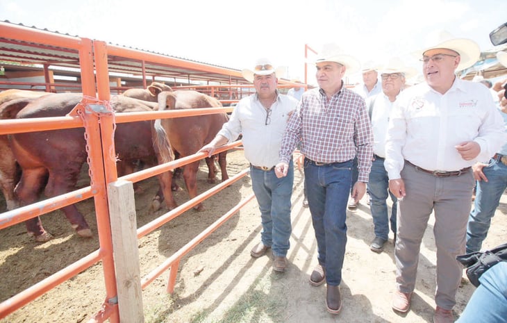 MARS: Coahuila trabaja para que productores exporten ganado MARS 
