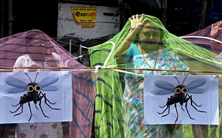 OMS recomienda vacuna contra el dengue; su transmisión se extiende hasta Latinoamérica 