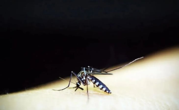 OMS recomienda la primera vacuna contra el dengue ante aumento de casos