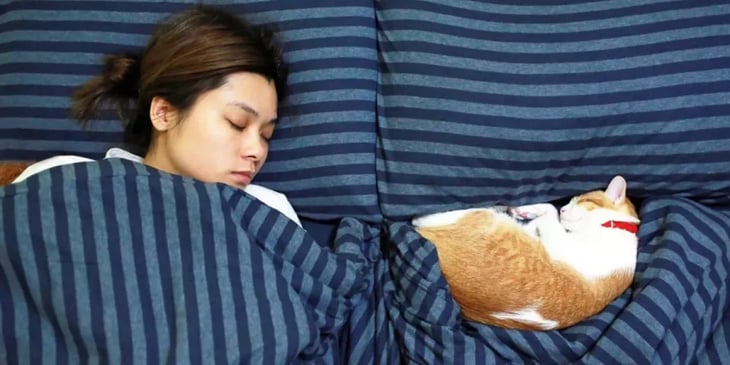 ¿Tu gato duerme en tu cama? Estos son los riesgos
