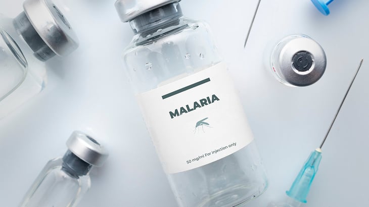 Vacuna contra la malaria: OMS aprueba la R21/Matrix, que erradicaría la enfermedad en 2040