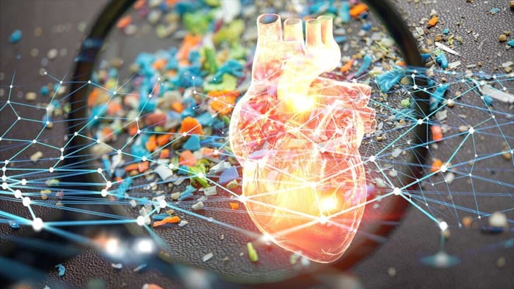 Descubren muestras de microplásticos en tejidos del corazón humano