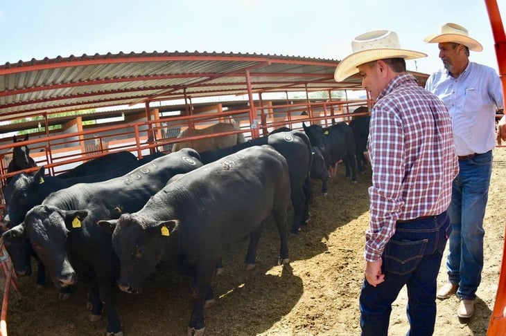 Logra zona ‘B1’ de Coahuila acreditación para exportación de ganado: MARS