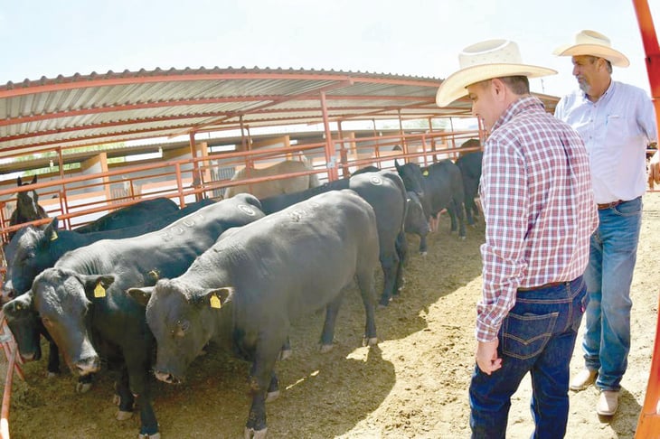 Coahuila logra acreditación para exportar ganado en pie en zona B1