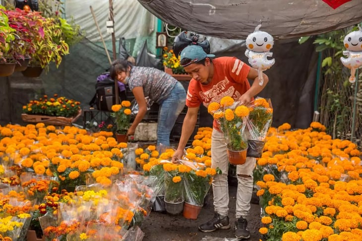 China 'invade' a México con sus flores de cempasúchil