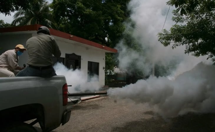 ¡Alerta! Casos de dengue en México se disparan: registran 30 mil casos