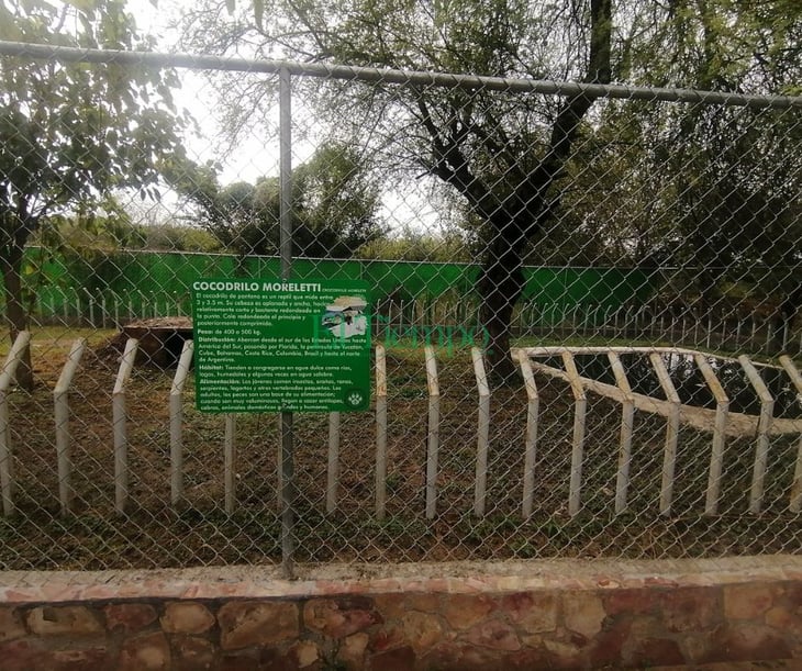 Sin amenaza animales del zoológico; puma se ahuyentó