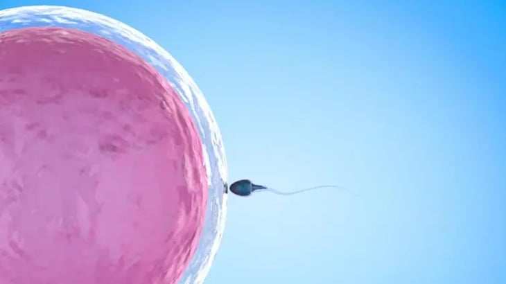 ¿Por qué algunos hombres no producen esperma?