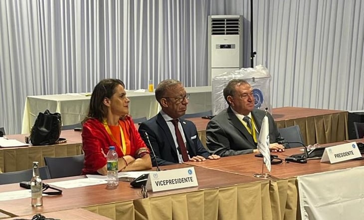 Diputada Sofía Carvajal Isunza nueva presidenta del Grupo de Países de América Latina y el Caribe de la ONU