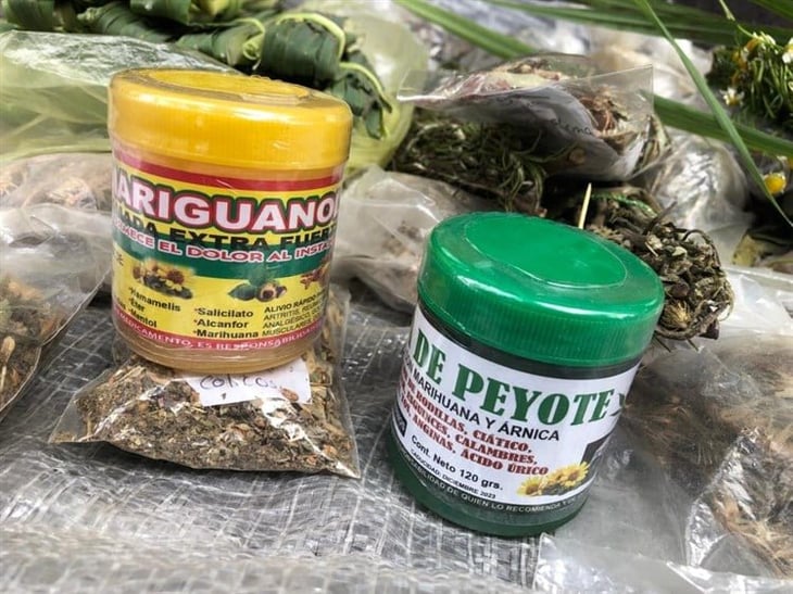 Población omite riesgos de usar peyote como hierba ‘medicinal’ 