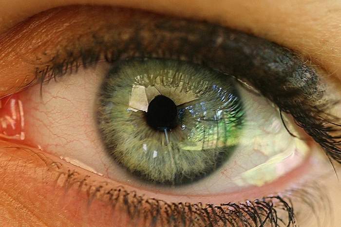 Cómo prevenir la fatiga visual: cuáles son los factores de riesgo y los tratamientos