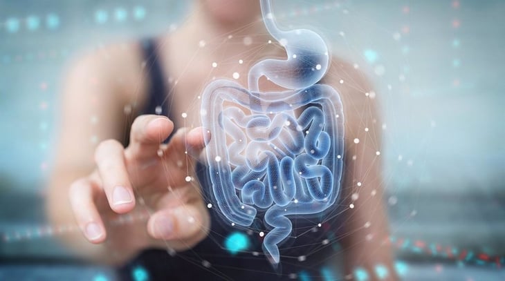 El microbioma intestinal puede predecir lesiones precancerosas
