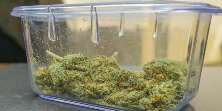 Georgia será el primer estado en permitir que las farmacias vendan cannabis en dosis bajas