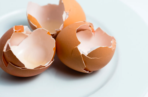 Conoce los beneficios que la membrana de huevo puede traerle a tu piel