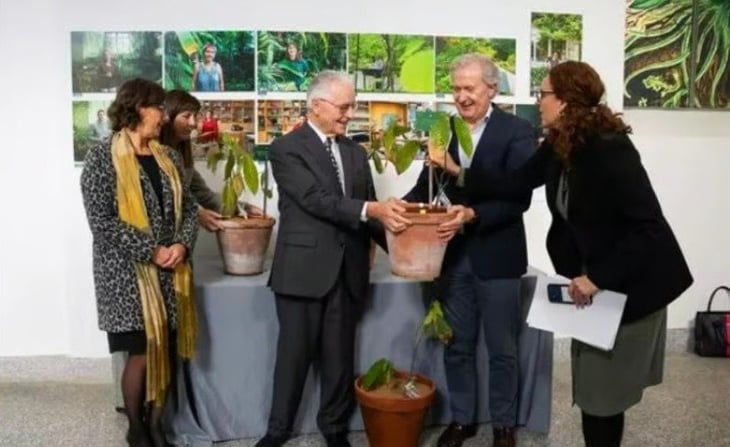 El Real Jardín Botánico de Madrid recibe su primera planta de cacao de Ecuador