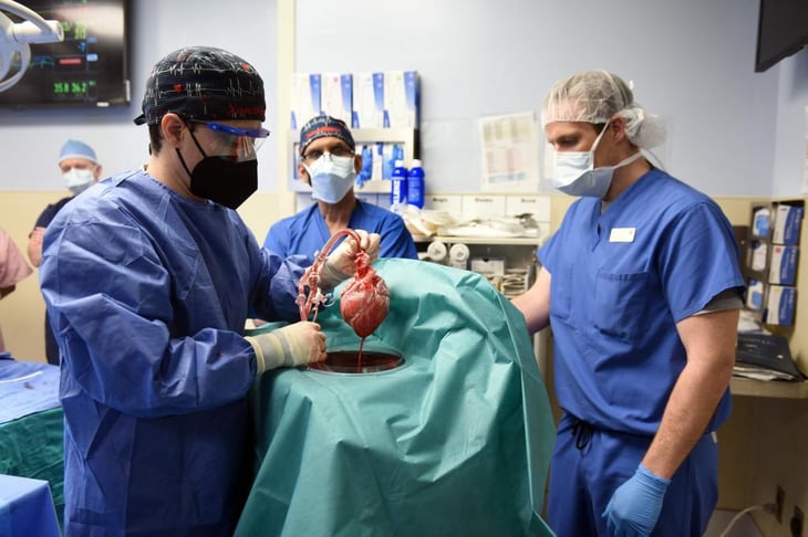 Paciente que recibió un trasplante de corazón de cerdo murió seis semanas después de la operación
